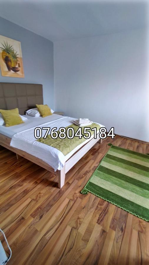 Magic Studio Hunedoara Apartment Luaran gambar
